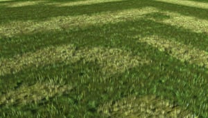 grass background